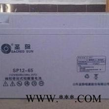 包郵圣陽蓄電池SP12-65鉛酸免維護12V65ah UPS直流屏太陽能專用