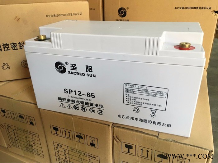 圣陽(yáng)SP12-65 UPS蓄電池 太陽(yáng)能蓄電池