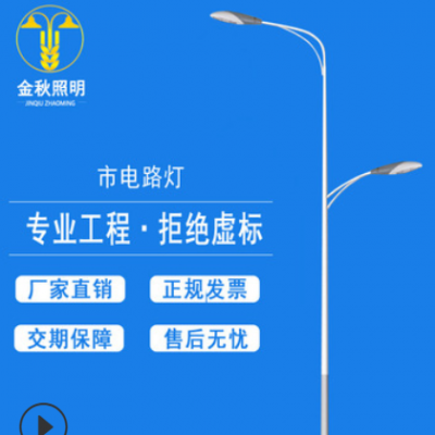 路燈燈桿廠家 6米30w 加工定制 led節(jié)能太陽能路燈 道路燈燈桿