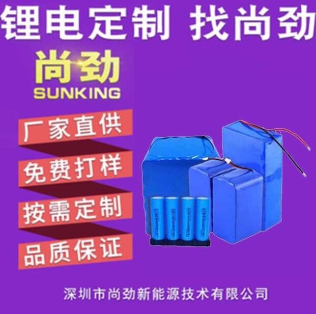 廠家供應電動噴霧器電池 21V 11A灌溉機電池 洗車器電池