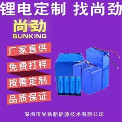 廠家供應(yīng)電動(dòng)噴霧器電池 21V 11A灌溉機(jī)電池 洗車器電池