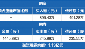 新能源：融資凈買(mǎi)入405.15萬(wàn)元，融資余額9877.44萬(wàn)元（12-20）